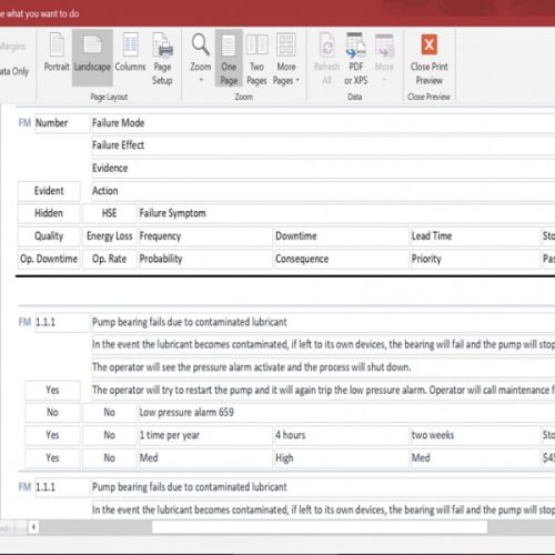 rcm-database-print-preview